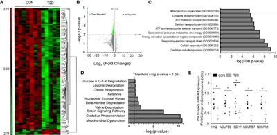 Type 2 Diabetes Modifies Skeletal Muscle Gene Expression Response to Gastric Bypass Surgery